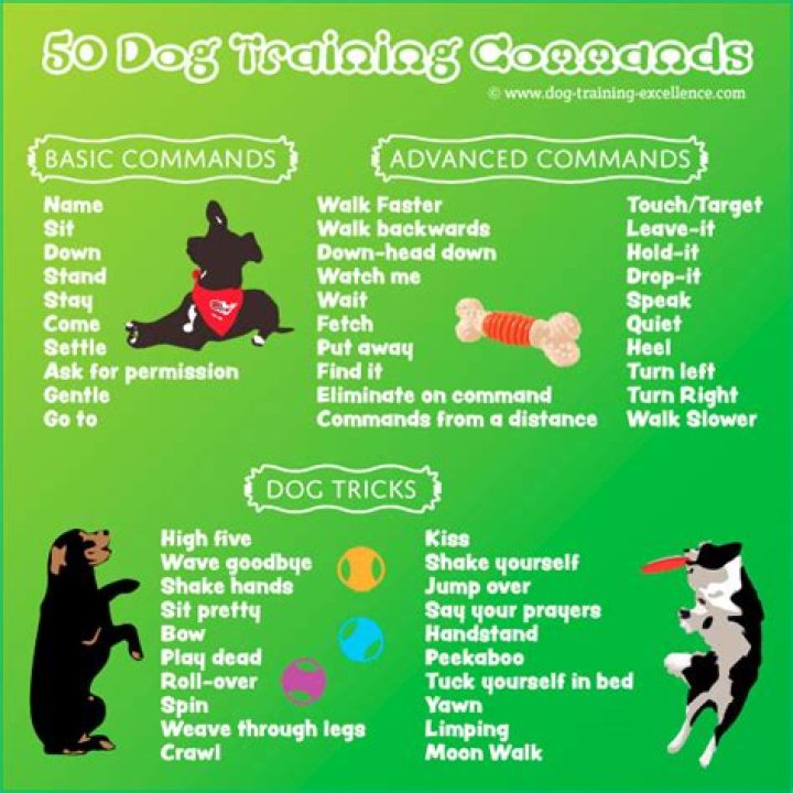 Printable Dog Training Commands List PDF for Effective Training