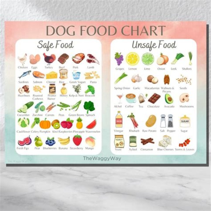 Printable List of Safe Foods for Dogs PDF