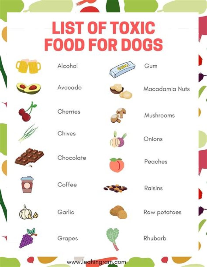 Printable List of Toxic Foods for Dogs – Free PDF