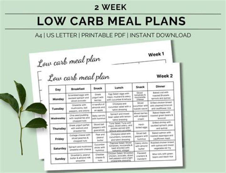 Printable Low-Carb Diet Plan PDF – Easy Meal Guide