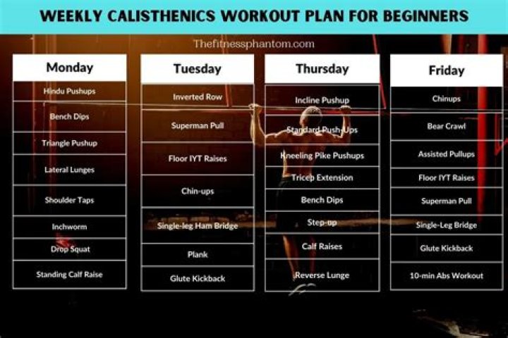 Free Printable Bodyweight Calisthenics Workout Plan (No Equipment) PDF Download
