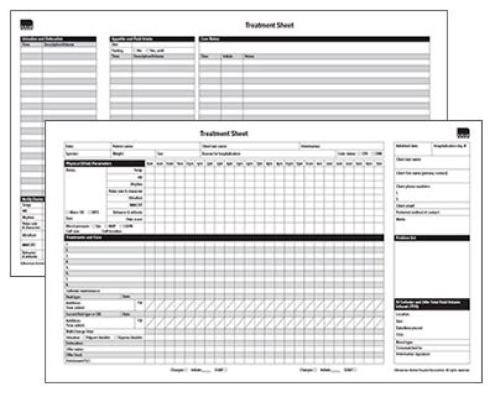 Printable Veterinary Treatment Sheet PDF for Quick Reference