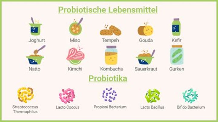 Probiotische Lebensmittel Liste PDF: Top 10 Fermente & Kulturen für Darmgesundheit