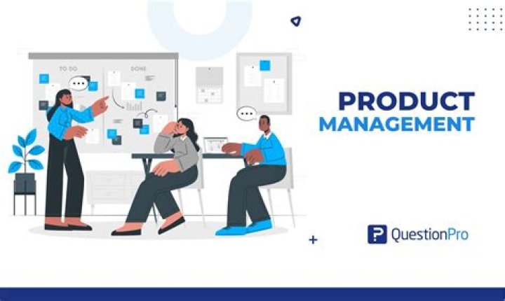Product Management for UX Professionals: A Comprehensive PDF Guide