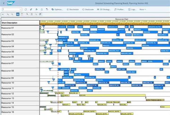 Production Planning SAP PDF Guide: Streamline Your Manufacturing Process
