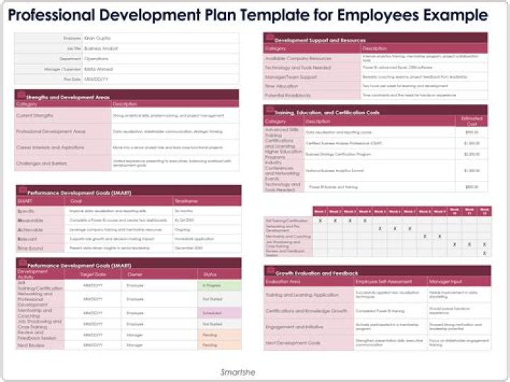 Professional Employee Development Plan Examples PDF: Boost Workforce Growth