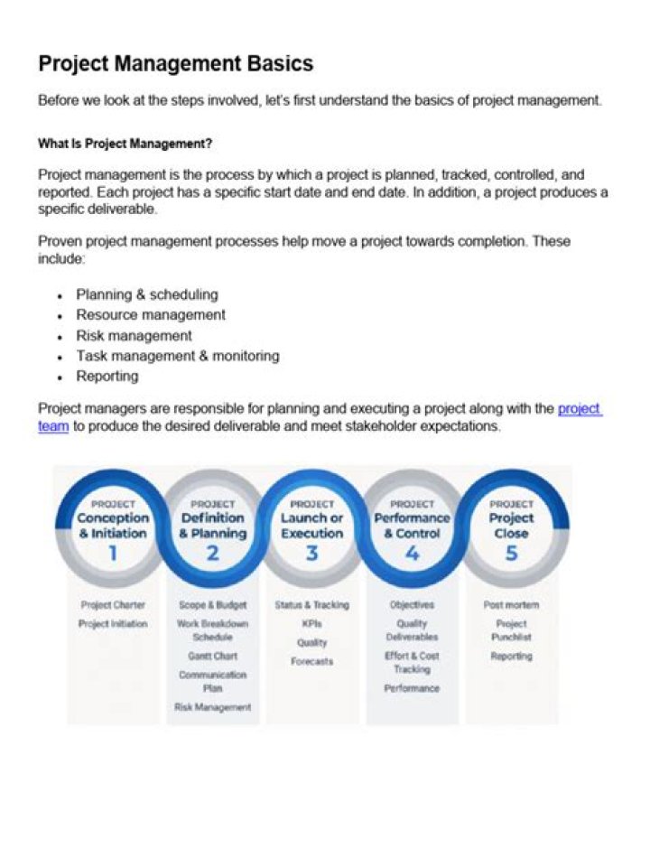 Project Management Basics PDF: Learn Fundamentals for Success