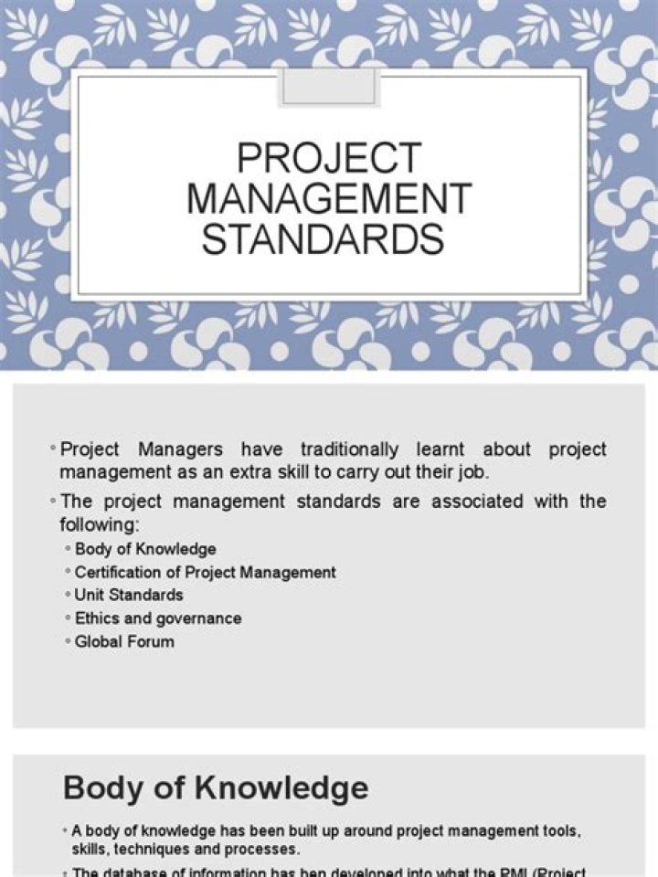 Essential Project Management Standards PDF for Teams
