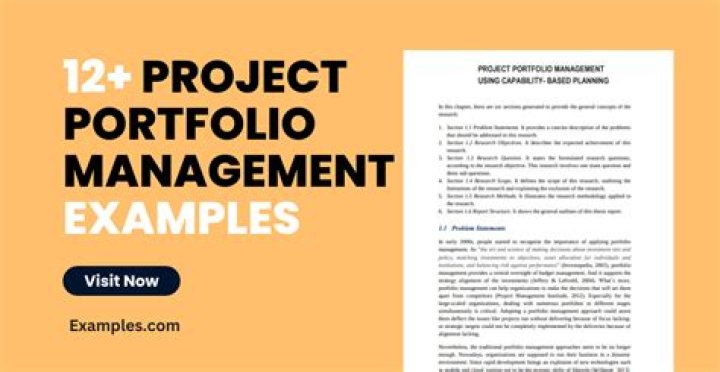 Top Project Manager Portfolio Examples PDF for Job Success