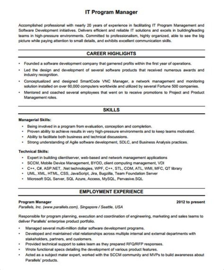 Professional Project Manager Resume PDF for Job Seekers