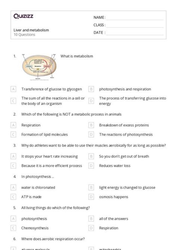Protein Metabolism Questions & Answers: Expert PDF Guide