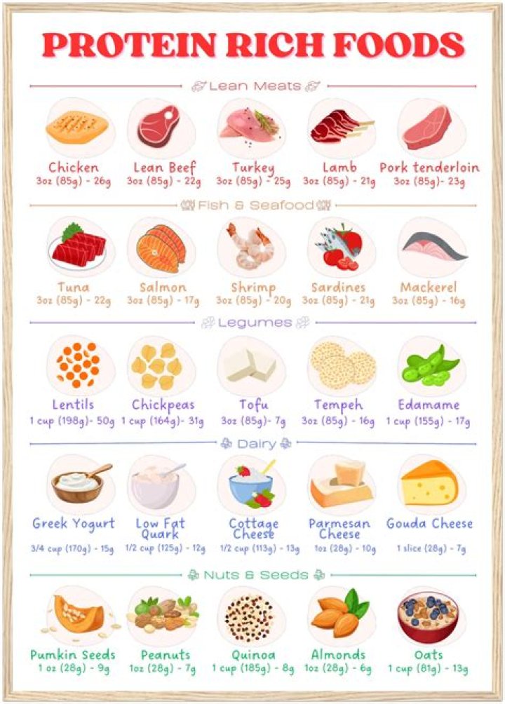 Protein Rich Foods List PDF – Complete Guide to High-Protein Foods