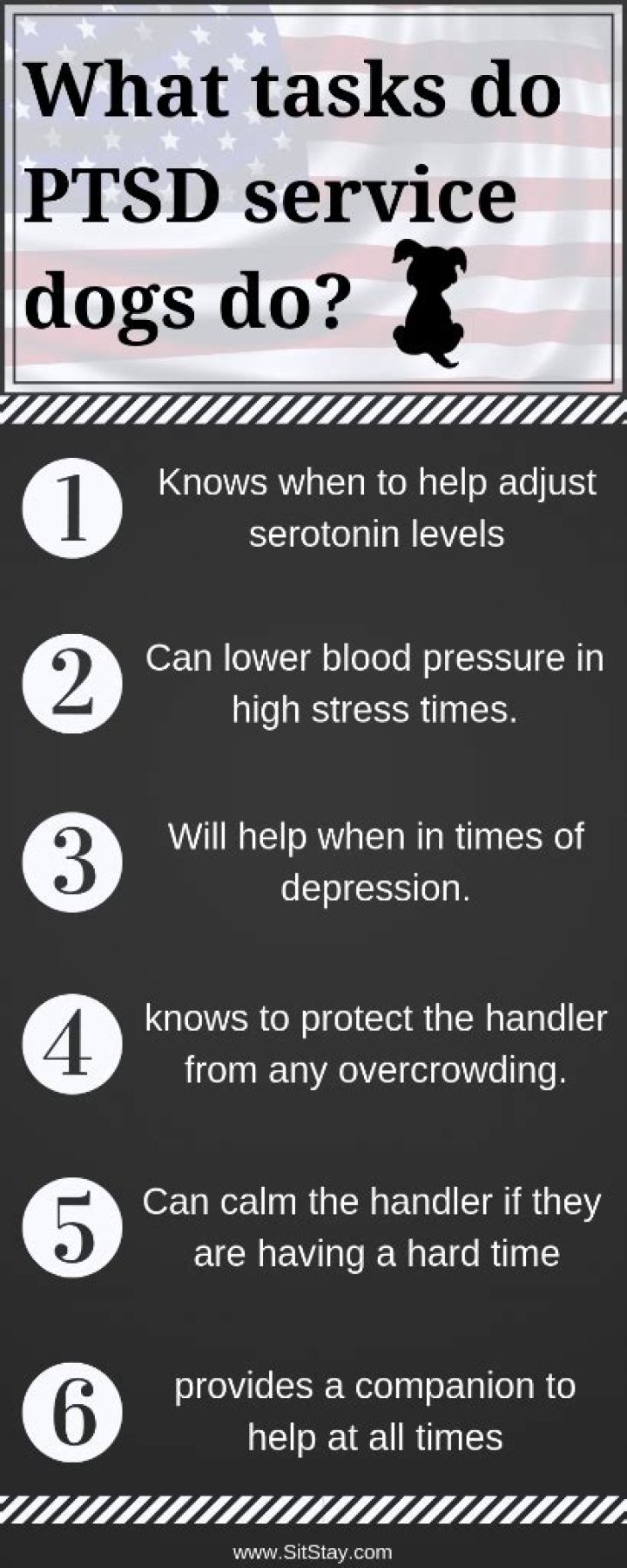 PTSD Service Dog Tasks List PDF: Essential Training & Daily Responsibilities