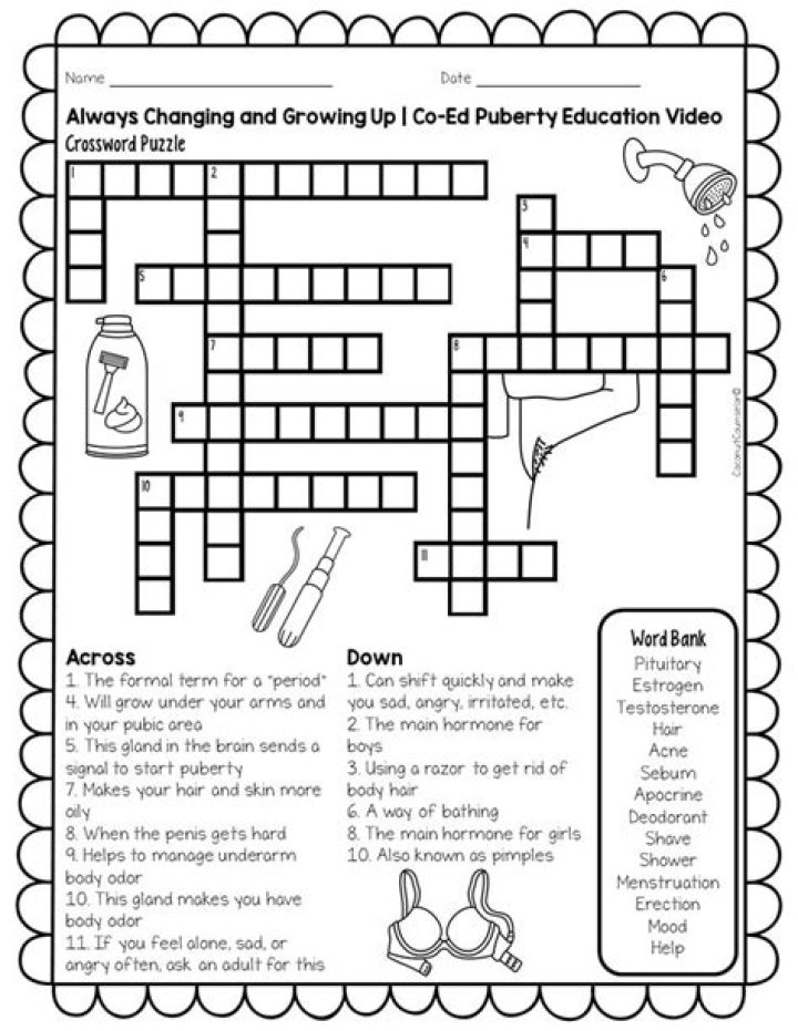 Puberty Activity Worksheets PDF: Fun Learning for Teens