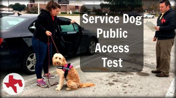 Public Access Test PDF: Official Guidelines & Download