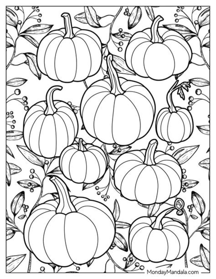 Free Pumpkin Coloring Sheet PDF for Kids