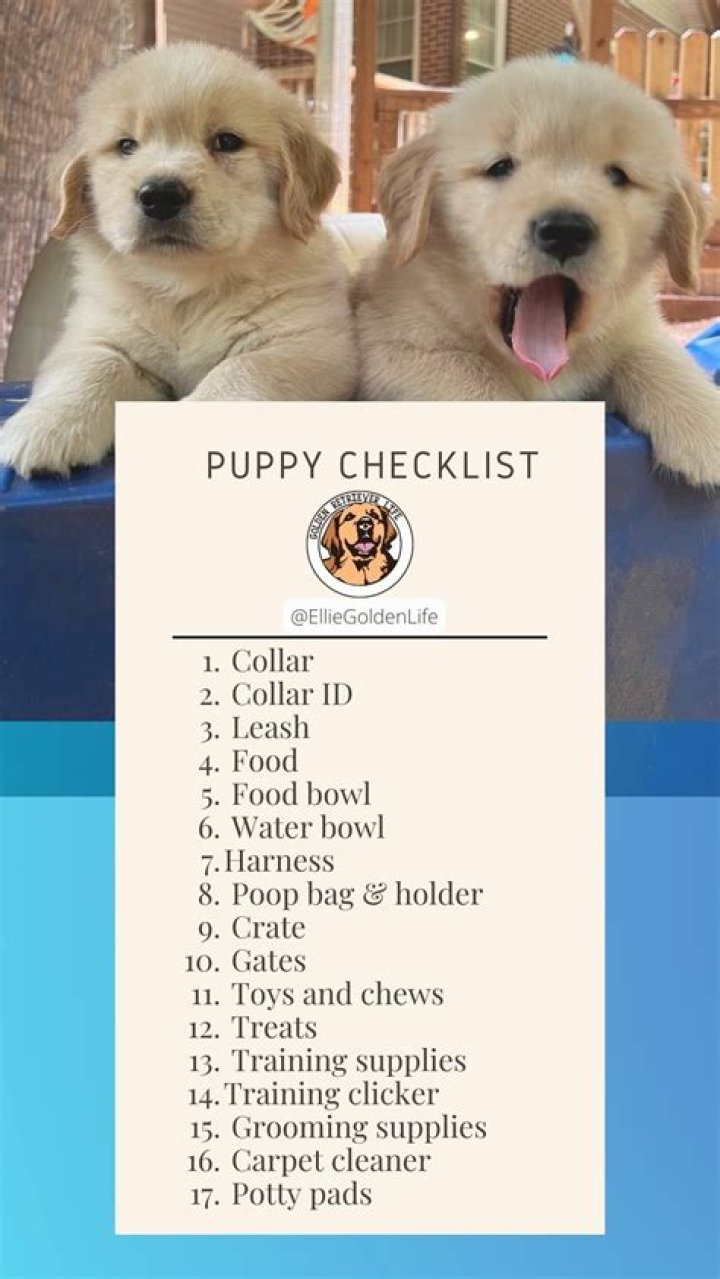 Puppy Supply List PDF: Essential Items Every New Puppy Needs