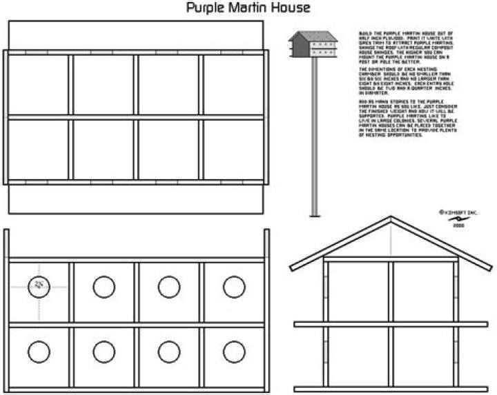 Purple Martin Bird House Plans PDF – Build & Attract Birds Today