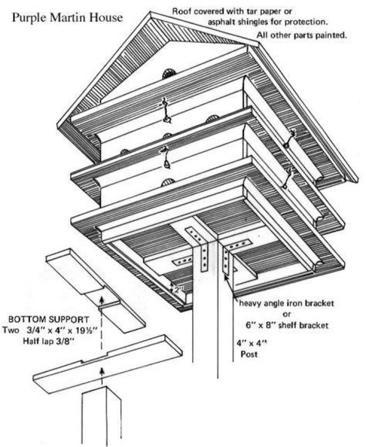 Purple Martin House Plans PDF Free Download – Easy DIY Blueprint