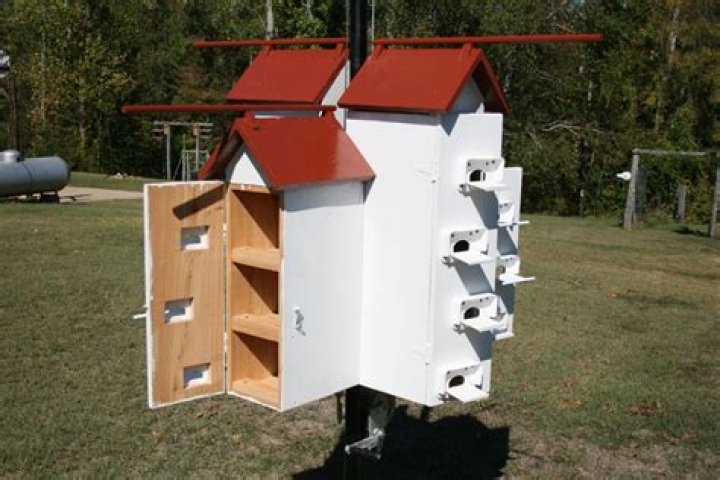 Purple Martin House Plans PDF – Easy DIY Birdhouse Blueprints