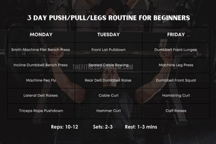 Push Pull Legs Workout Plan for Muscle Gain – PDF Workout Plan