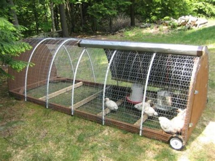 Easy PVC Chicken Coop Plans PDF – Build Your Own Affordable Chicken House