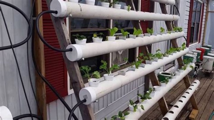 Free PVC Hydroponics Plans PDF – Easy DIY Growing Systems