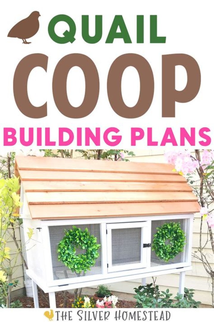 Free Quail Coop Plans PDF for Easy DIY Build