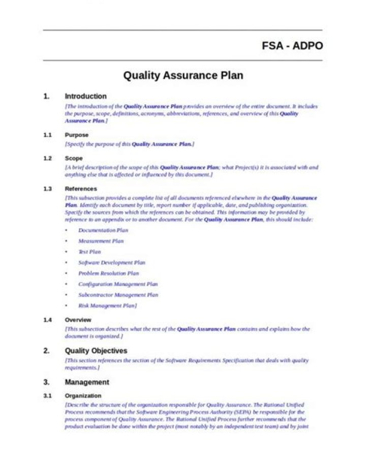 Quality Assurance Plan Example PDF for Seamless Testing Process