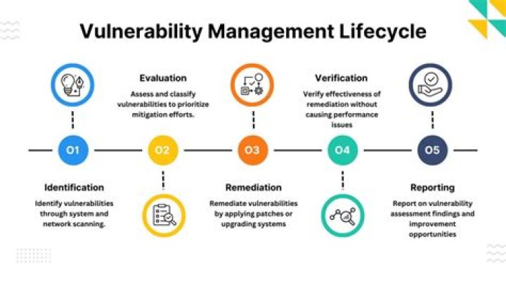 Qualys Vulnerability Management for Dummies: Easy PDF Guide