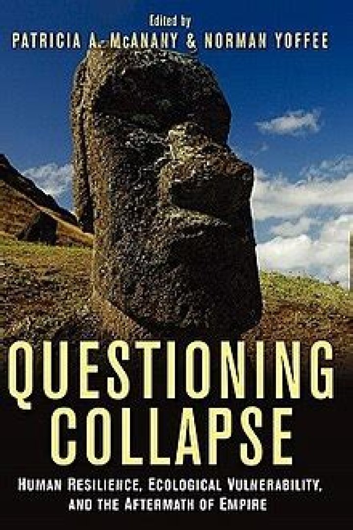 Questioning Collapse: Critical PDF Analysis & Insights