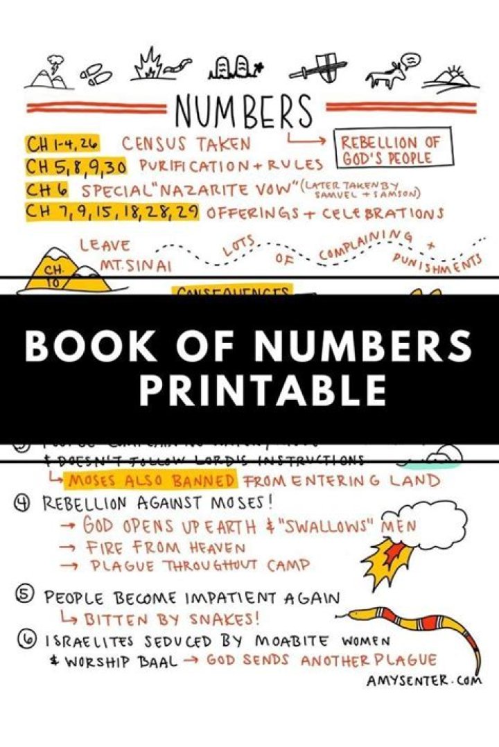 Questions and Answers on the Book of Numbers PDF – Complete Guide