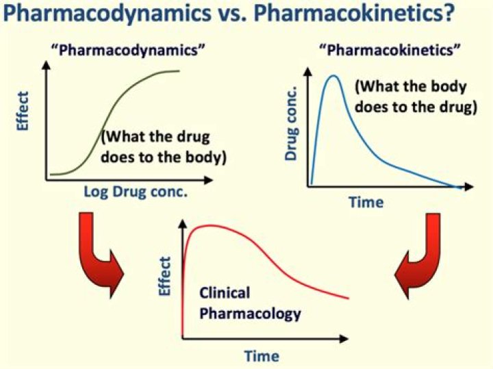 Download Free PDF: Questions on Pharmacokinetics and Pharmacodynamics