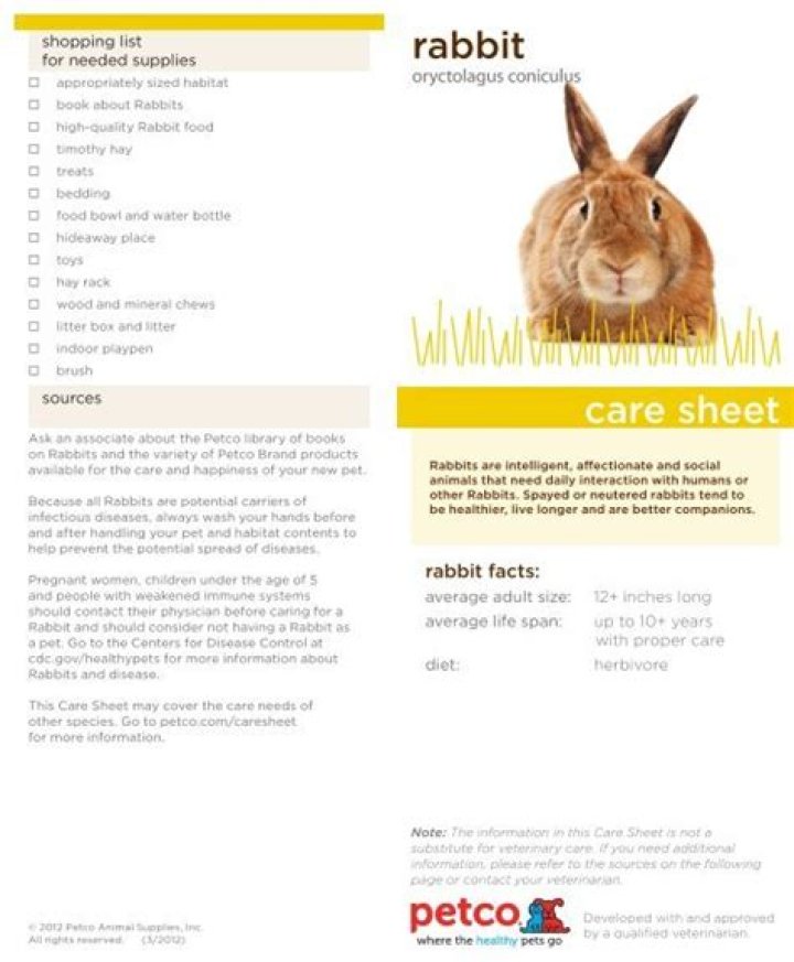 Rabbit Care Sheet PDF: Essential Guide for Healthy Pets