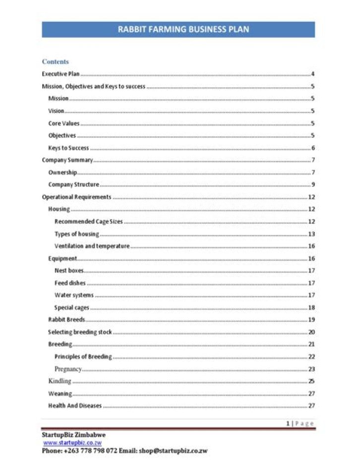 Rabbit Farming Business Plan PDF: Start Your Profitable Venture Today