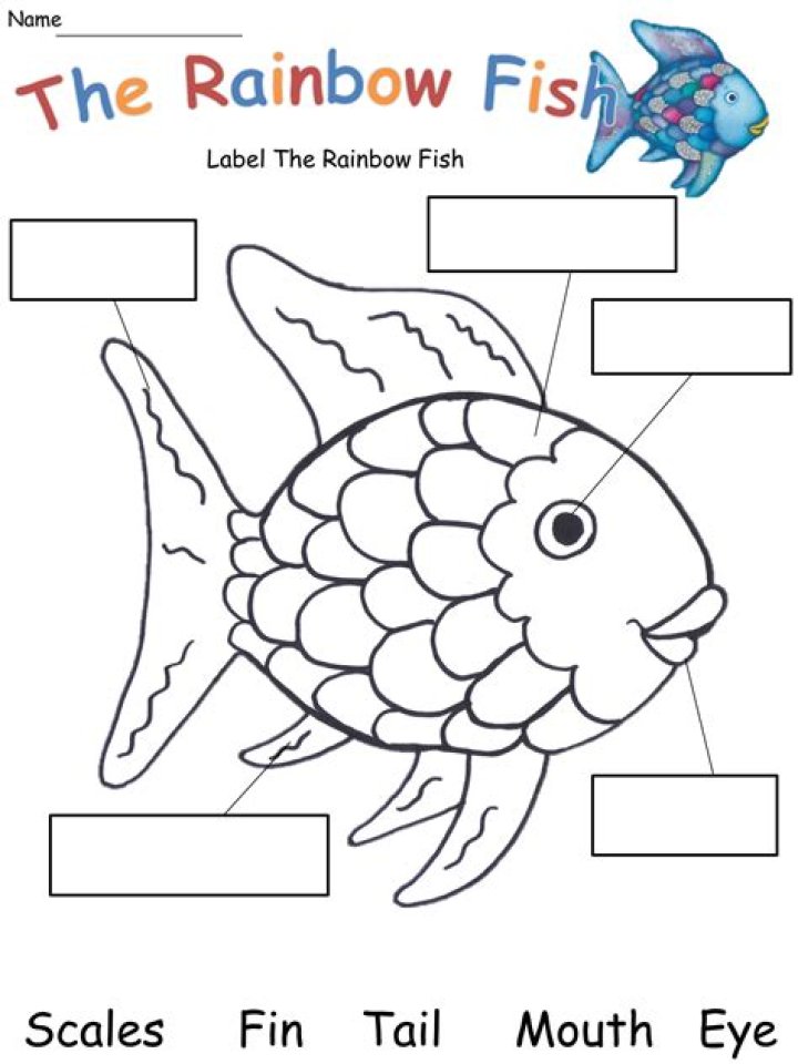 Rainbow Fish Worksheets PDF – Printable Math & Science Activities