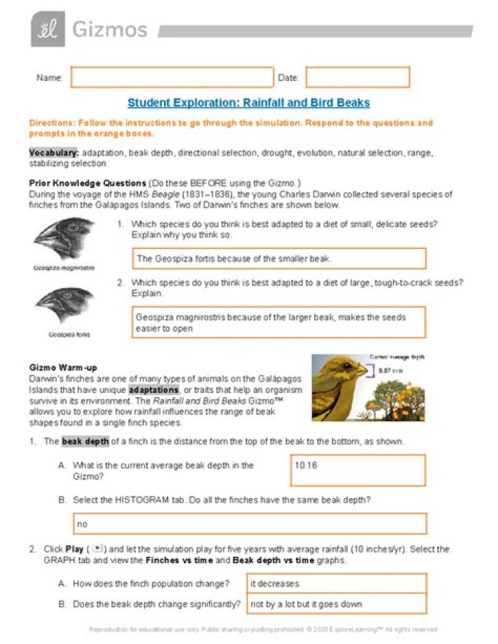 Rainfall and Bird Beak Shapes: The Gizmo’s Scientific Answer PDF