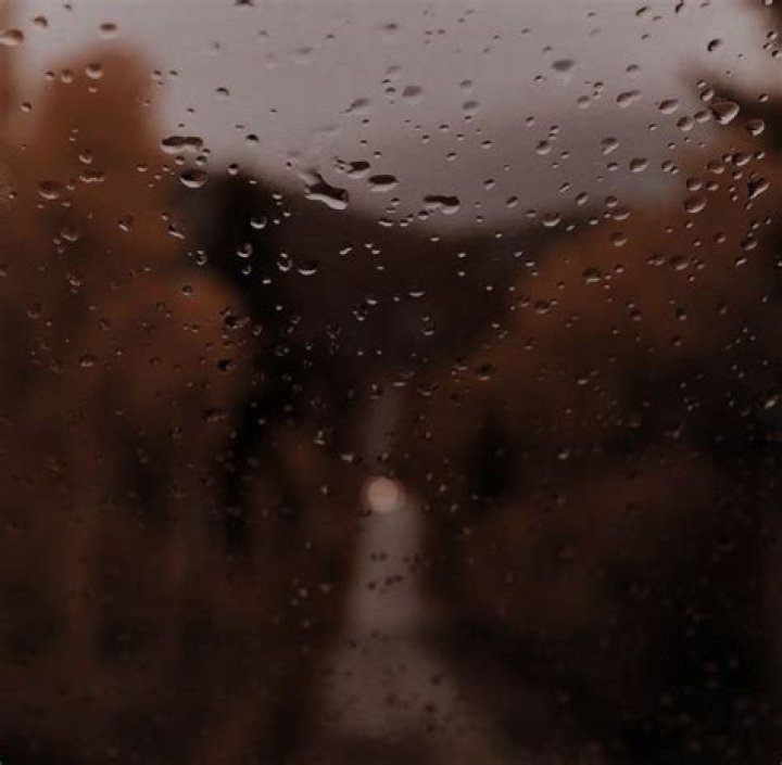 Rainy Brown M.C.K.Raindrop Brown Pinterest Tiffany alvord and Movie