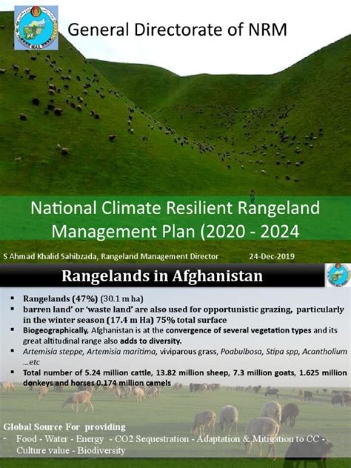 Rangeland Management PDF: Expert Guide to Sustainable Land Practices