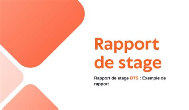 Rapport de Stage Management PDF : Modèle Professionnel Complet