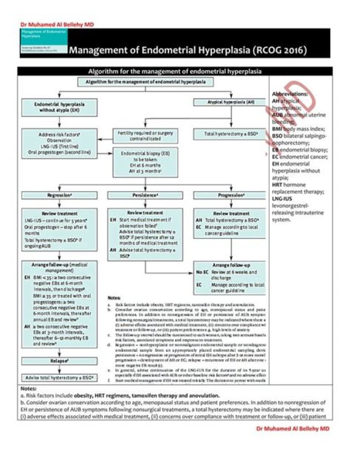 RCOG Green-Top Guideline 67: Expert Management of Endometrial Hyperplasia (2022 PDF)