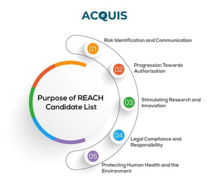 Reach Candidate List PDF Instantly