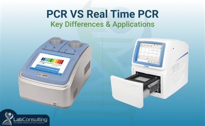 Real-Time PCR Questions and Answers PDF – Expert Guide