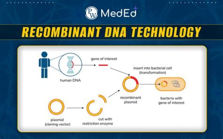 Recombinant DNA Technology Questions & Answers PDF – Comprehensive Study Guide