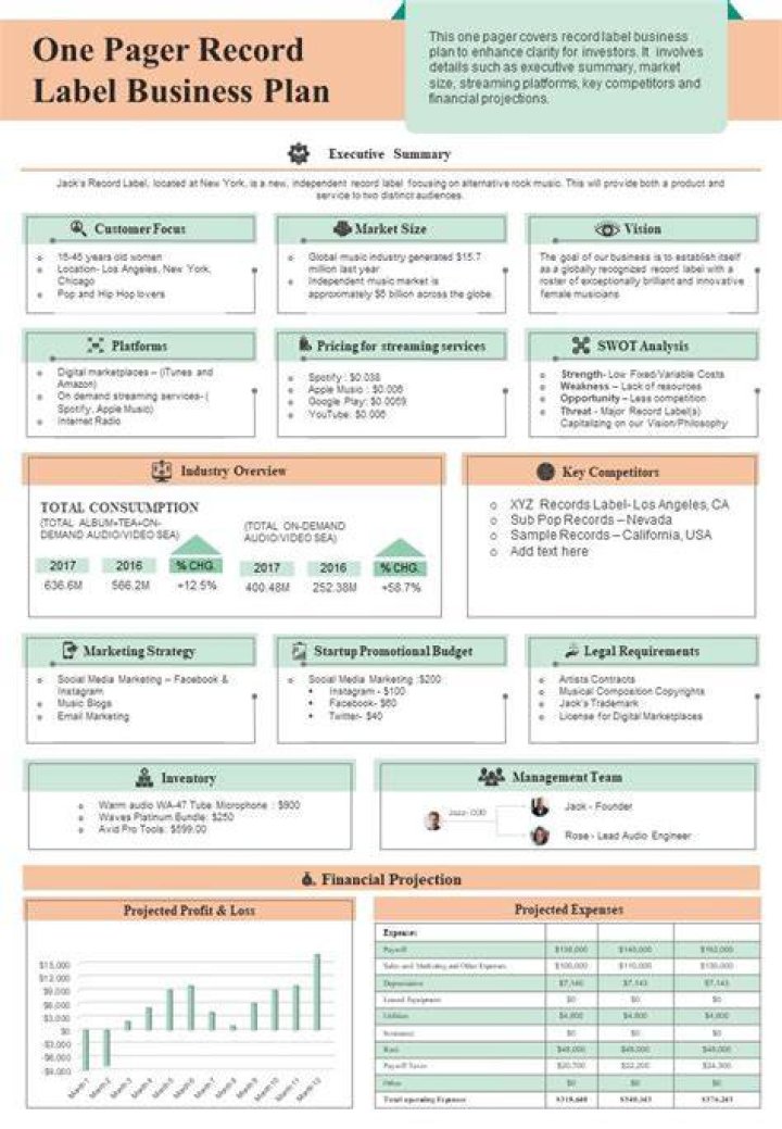 Record Label Business Plan Sample PDF – Free Template