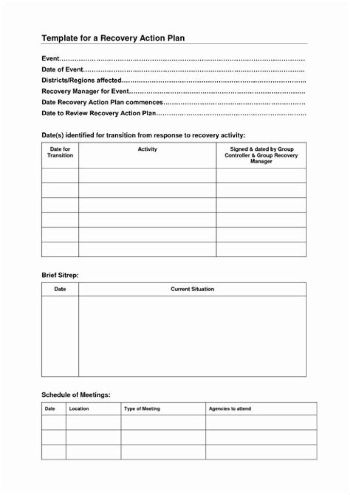 Recovery Action Plan PDF: Essential Guide for Effective Recovery