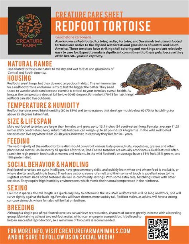 Red Footed Tortoise Diet Sheet PDF: Complete Nutrition Guide