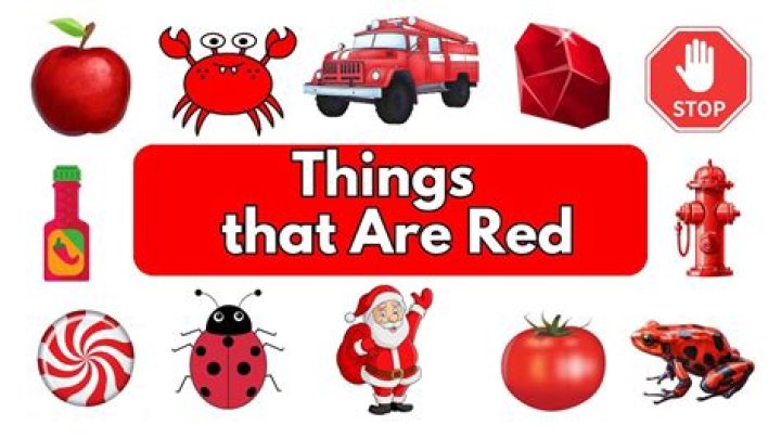 Red Things 100+ Things That Are Red in Nature • Colors Explained