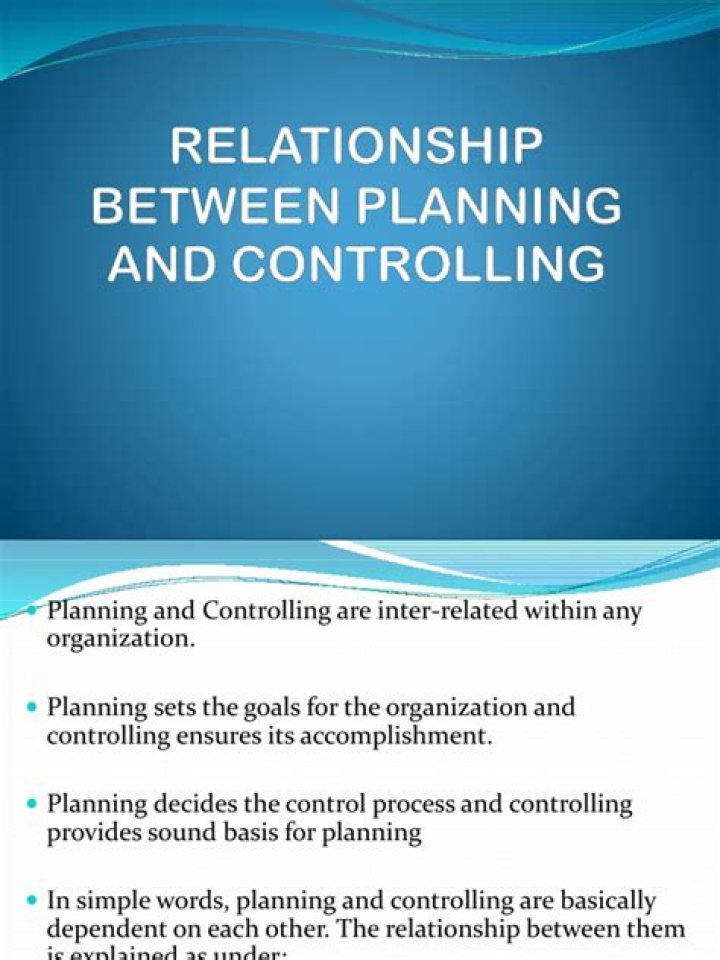 Mastering Planning and Controlling: Key Insights from the PDF Guide