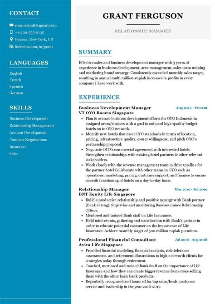 Relationship Manager Resume PDF – Crafting Professional Career Summaries